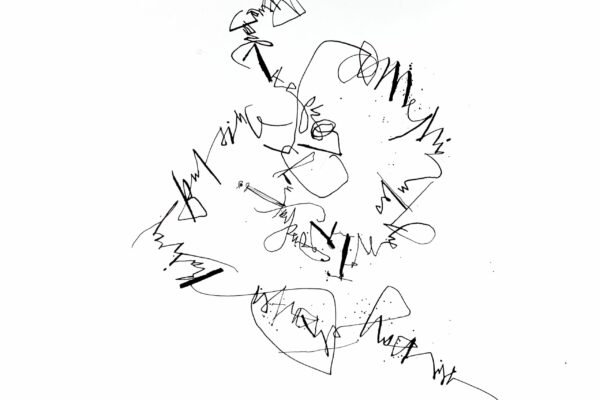 · kleines Schriftbild · 
meandering ·
Gänsekiel · Sumi Ink